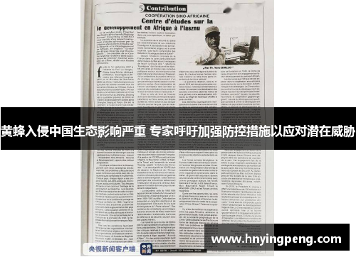 黄蜂入侵中国生态影响严重 专家呼吁加强防控措施以应对潜在威胁